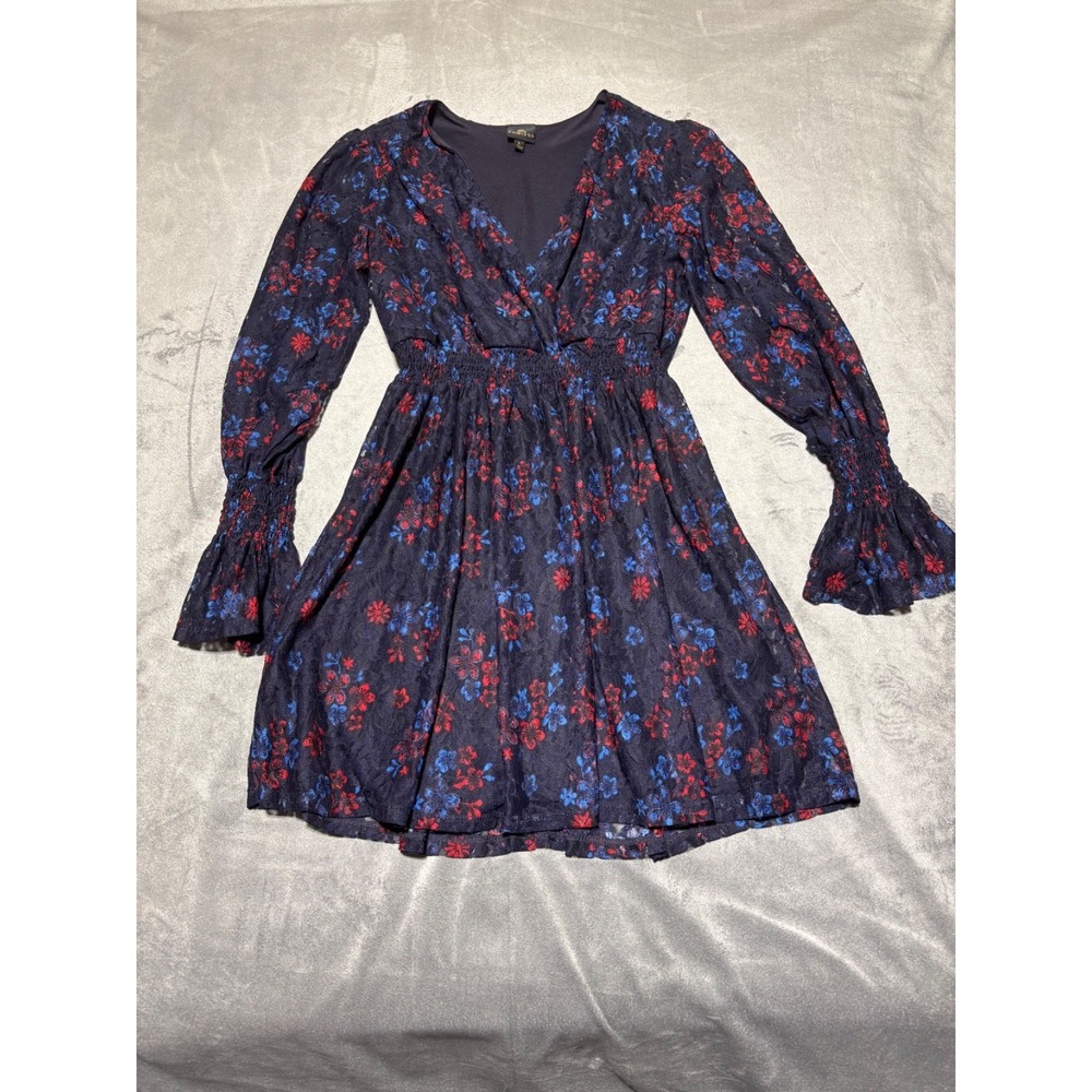 Disney Princess Womens L Blue Red Multicolor Floral Long Sleeve Lined Dress